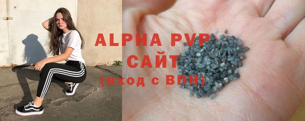 прущие грибы Краснослободск