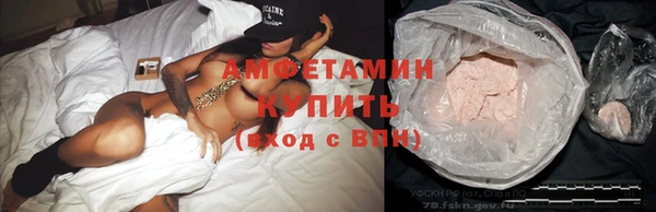 прущие грибы Краснослободск