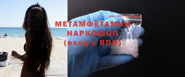 прущие грибы Краснослободск