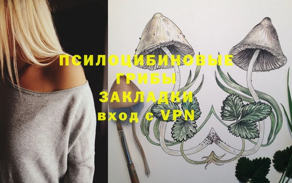 ГАЛЛЮЦИНОГЕННЫЕ ГРИБЫ Красноперекопск