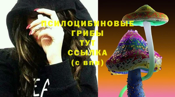 ГАЛЛЮЦИНОГЕННЫЕ ГРИБЫ Красноперекопск