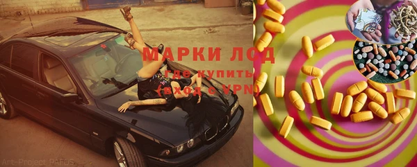 прущие грибы Краснослободск