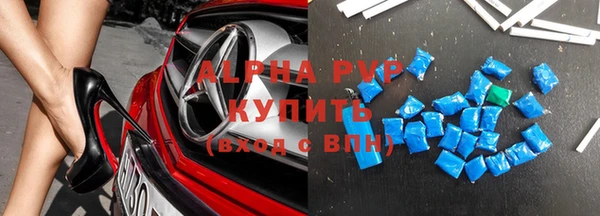 прущие грибы Краснослободск