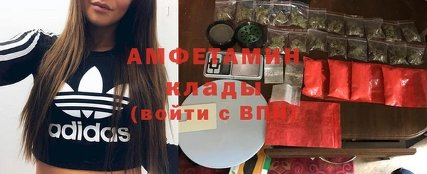 прущие грибы Краснослободск