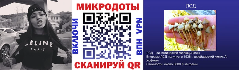 Галлюциногенные грибы Cubensis  Купить где  Петухово 